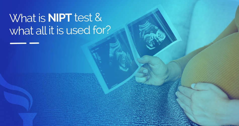 Non-Invasive Prenatal Testing What to Expect & The Next Step